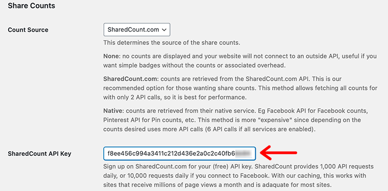 Copier et coller la clé API