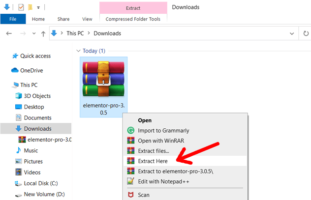 Ekstrak File Plugin WordPress Zipped (Contoh - Elementor Pro)
