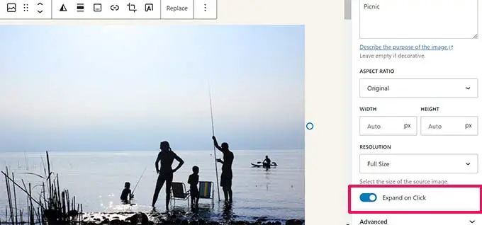 Espandi al clic Expand on Click