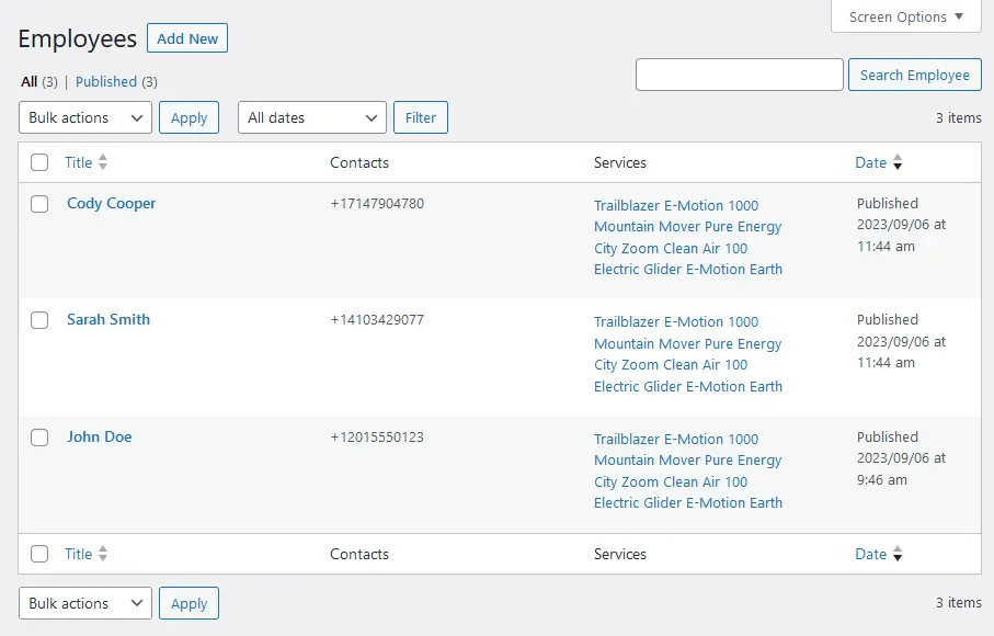 Foto da lista de funcionários no painel WordPress do tema Lorenty criada com software de aluguel de bicicletas.