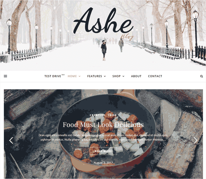 Ashes kostenloses WordPress-Theme
