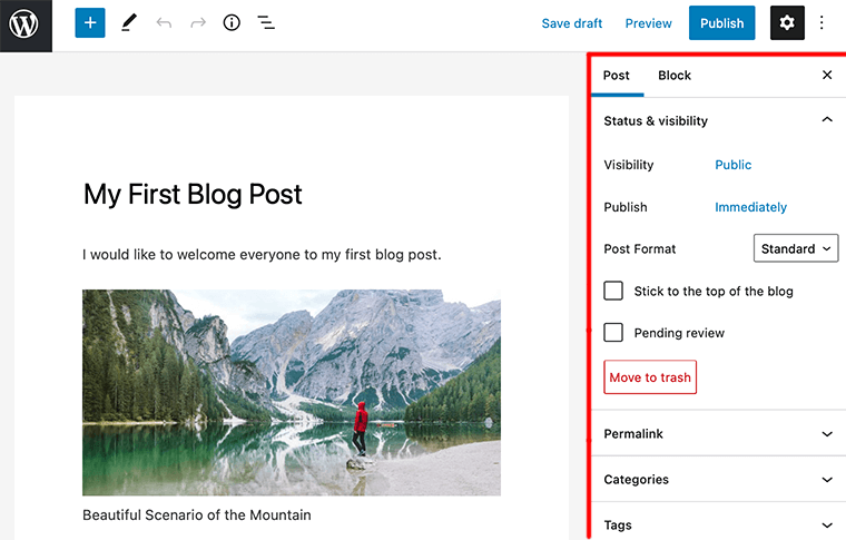 WordPress Editor Screen Division