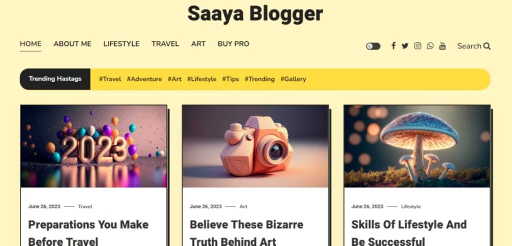 ธีมบล็อก WordPress ที่ดีที่สุด: บล็อก Saaya