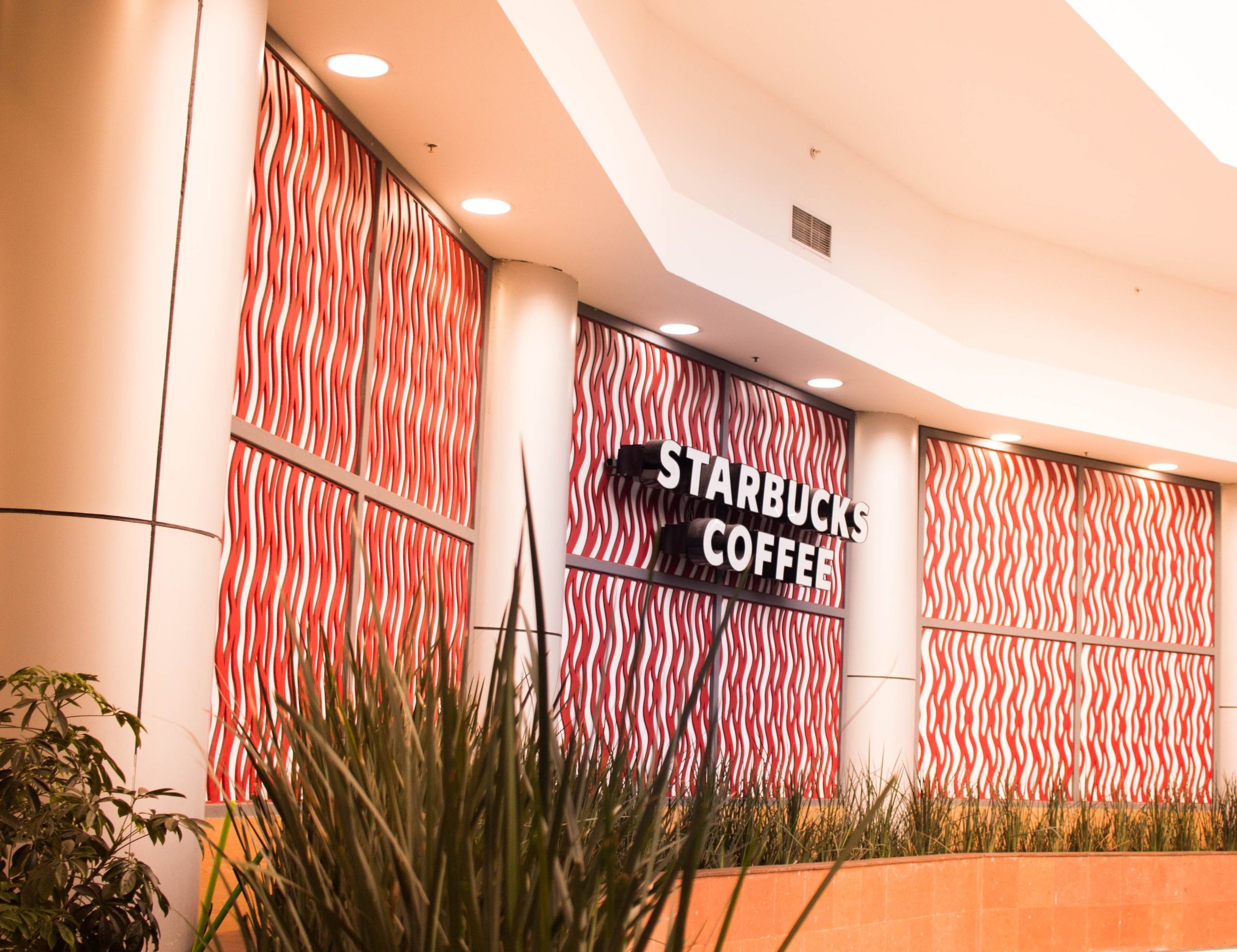 sinal do Starbucks
