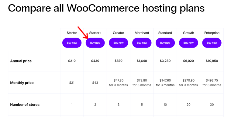 ストアをセットアップするために必要な WooCommerce を購入する