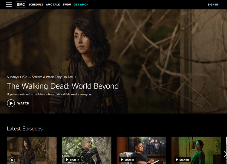 Contoh AMC situs web yang dibuat dengan WordPress