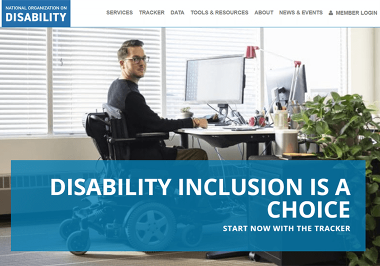 Organisasi Nasional Disabilitas