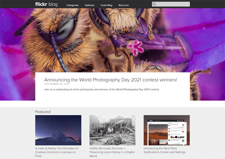 Flickr Blog-situs WordPress terbaik
