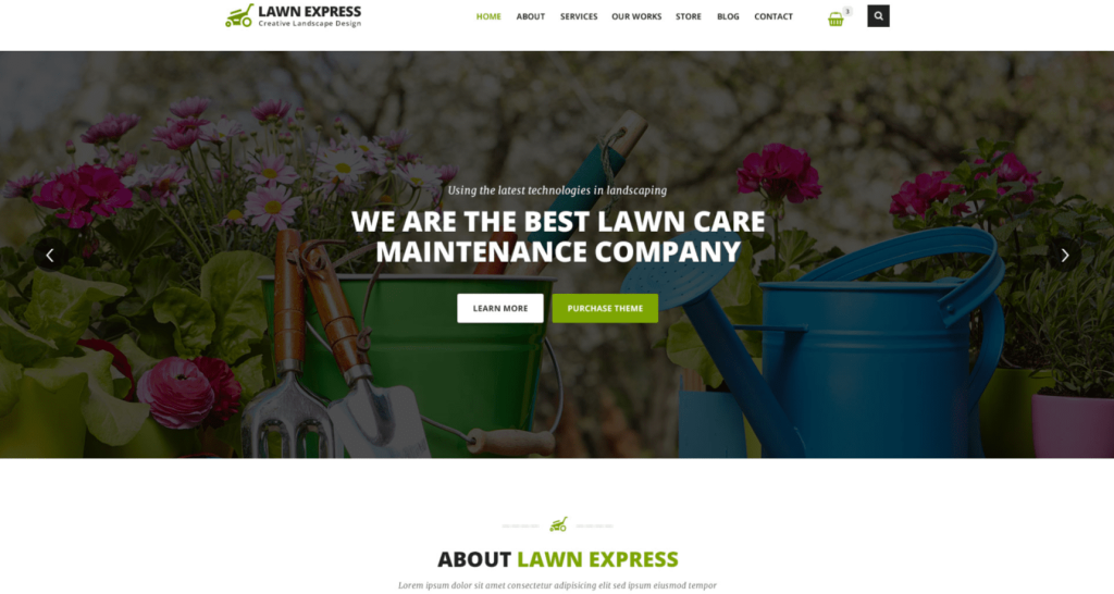 Tema Lawn Express