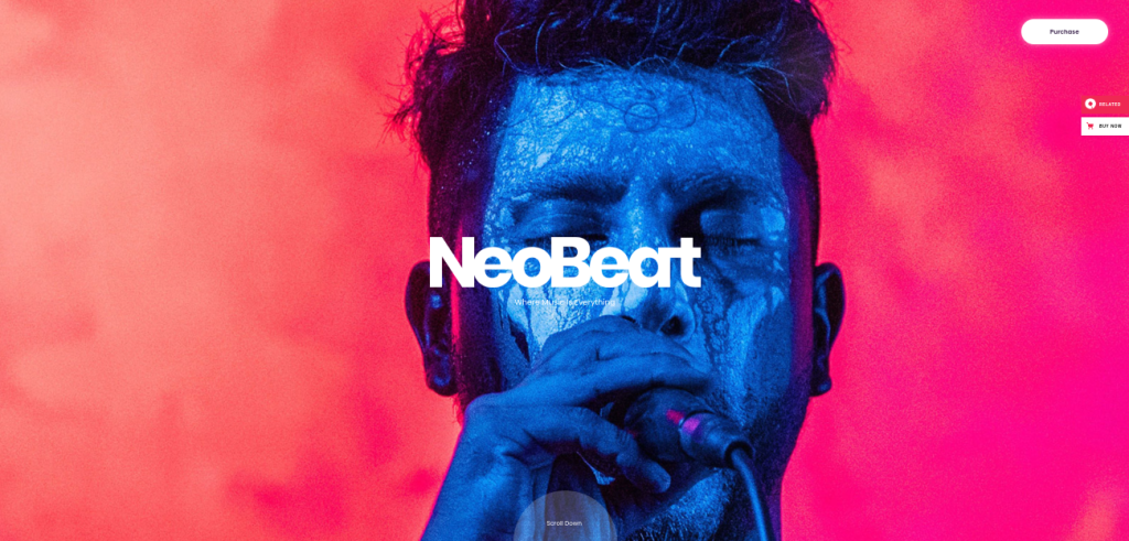 NeoBeat 워드프레스 테마