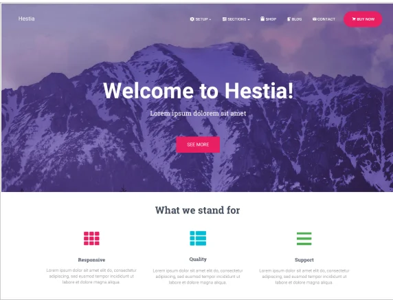Hestia — najlepsze darmowe motywy WordPress dla początkujących