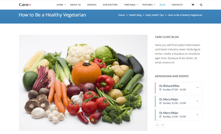 perawatan-kesehatan-blog-tema