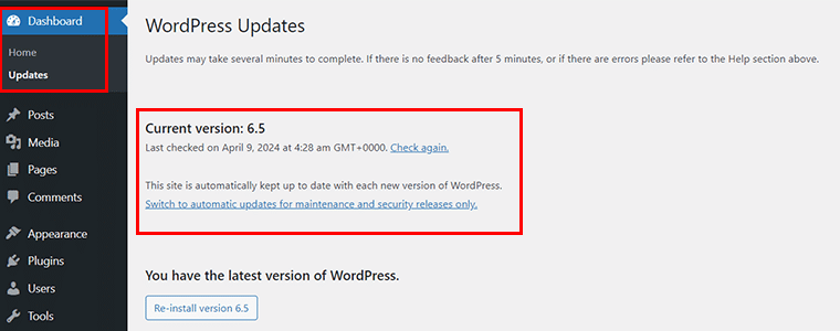 Certifique-se de que seu site esteja atualizado para a versão WordPress 6.5