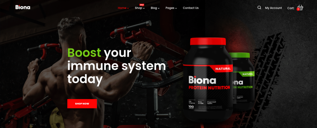 Biona Wp-Theme