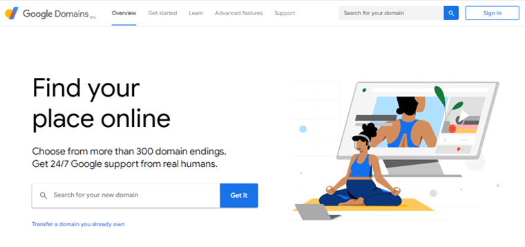 Pencatat Nama Domain Google