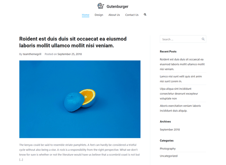 Demo Tema Zakra WordPress untuk Blog