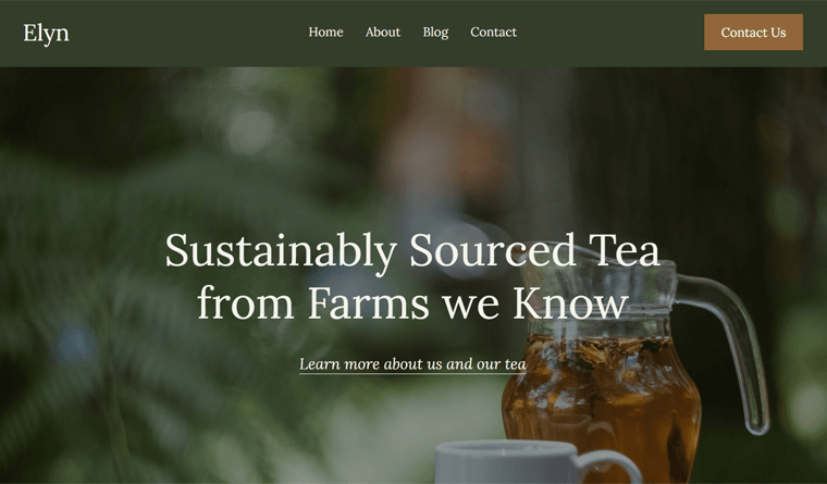 Elyn - Tema WordPress Terbaik untuk FSE