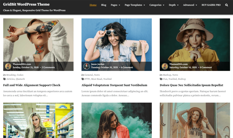 Teme WordPress în stil grilă fără GridBit