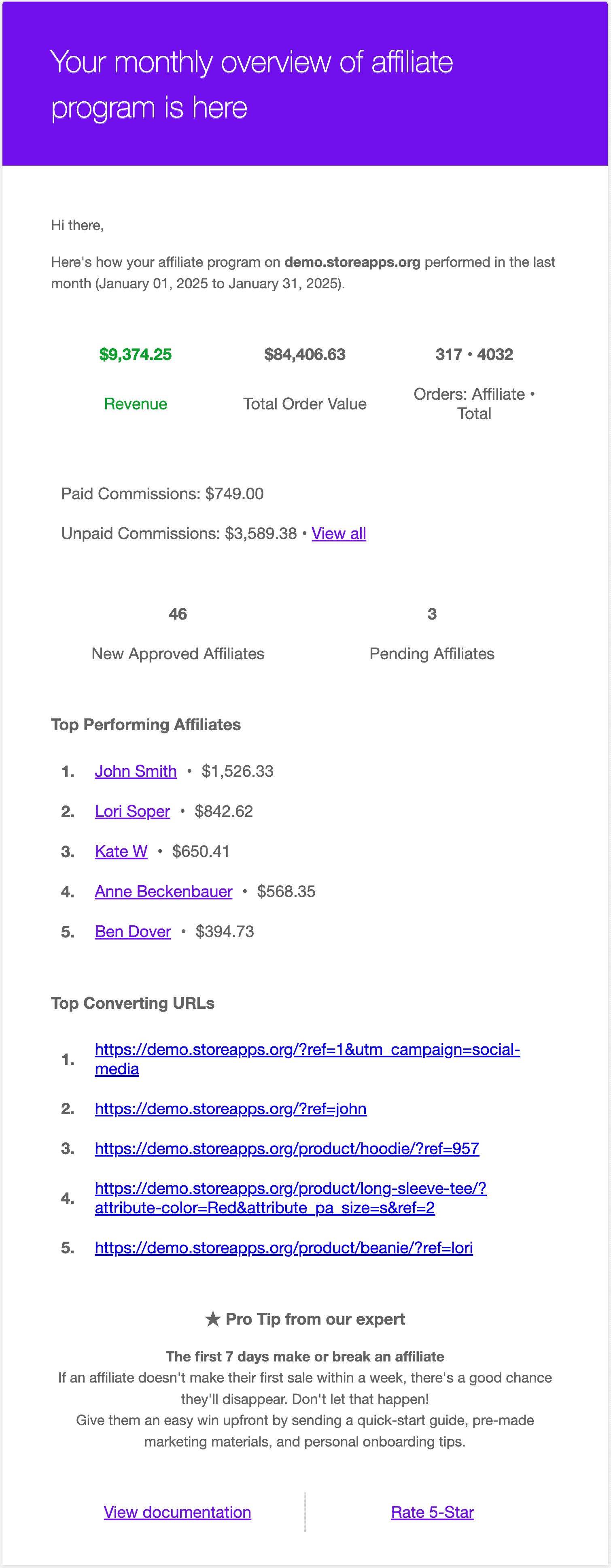 Affiliate -Programm Performance -E -Mail