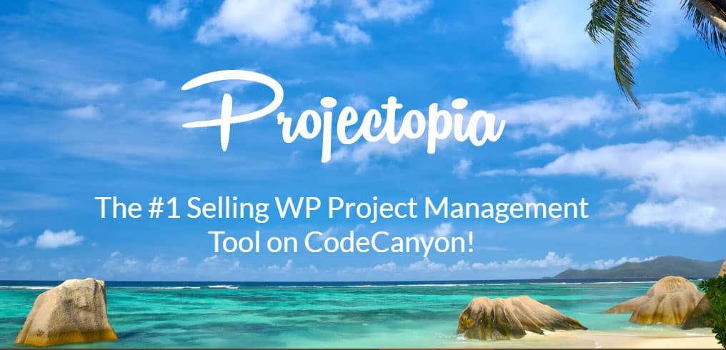 2019 年 6 个最佳 WordPress 项目管理插件 6