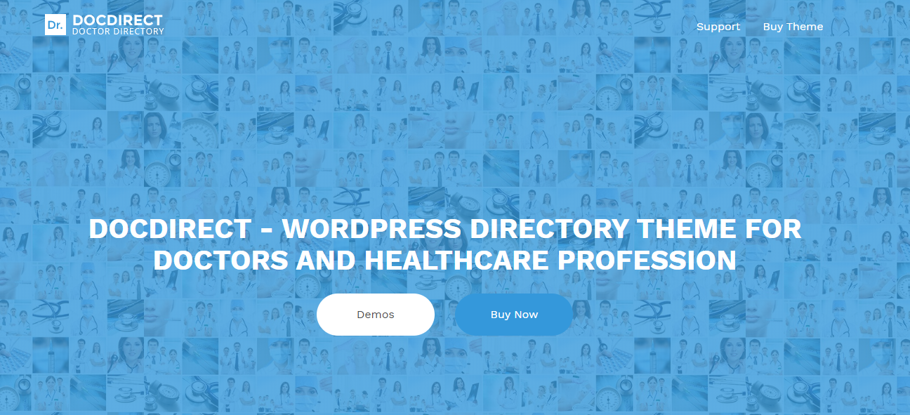 2020'de Bir Sonraki Dizin Web Sitenizi Oluşturmak için 10+ En İyi WordPress Dizin Teması 6