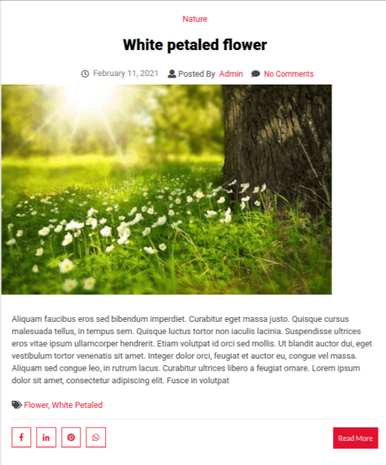 Evolution-Blog-Vorlage