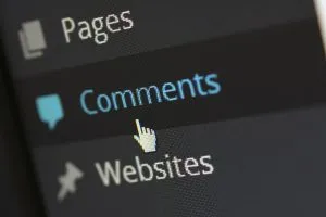 Cursor peste o secțiune de comentarii din WordPress.