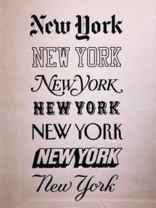 在 WordPress 中添加自定义字体时,您可以使用各种样式的 Word New York