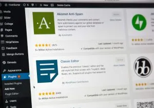إضافات ووردبريس.