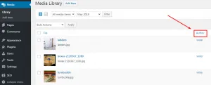 在媒體上傳中按作者姓名對文件進行排序。
