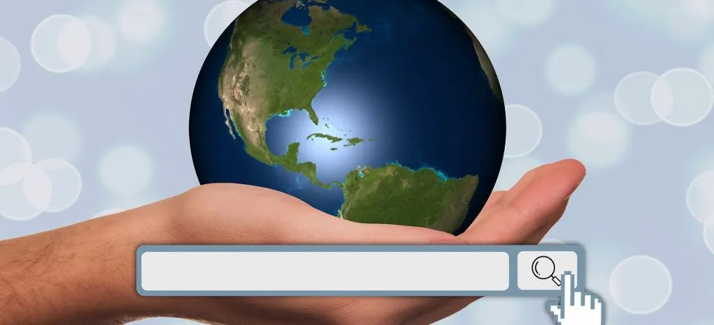 Un globo su un palmo e una barra di ricerca.