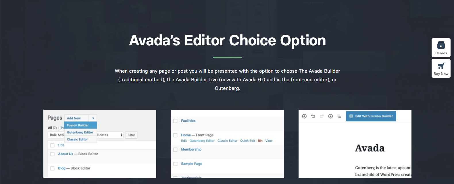 Opsi Pilihan Editor Avada