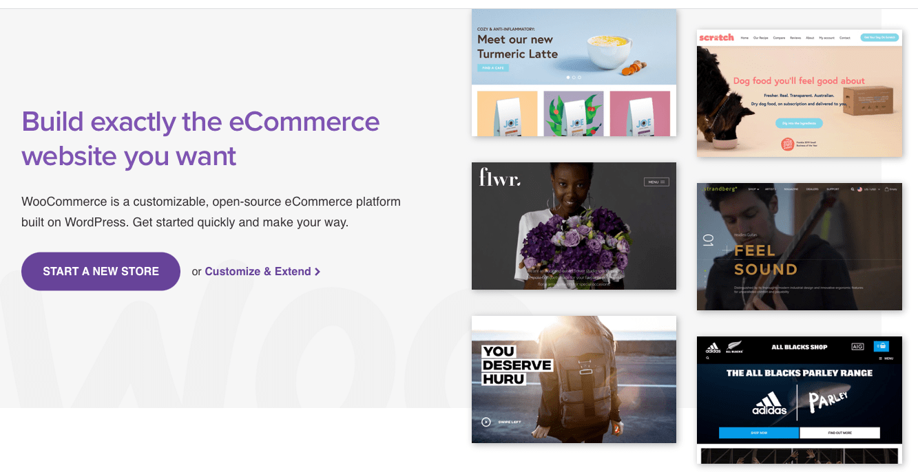 I migliori costruttori di pagine WooCommerce