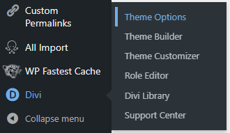 Divi-Theme-Optionen-Verknüpfung in WordPress