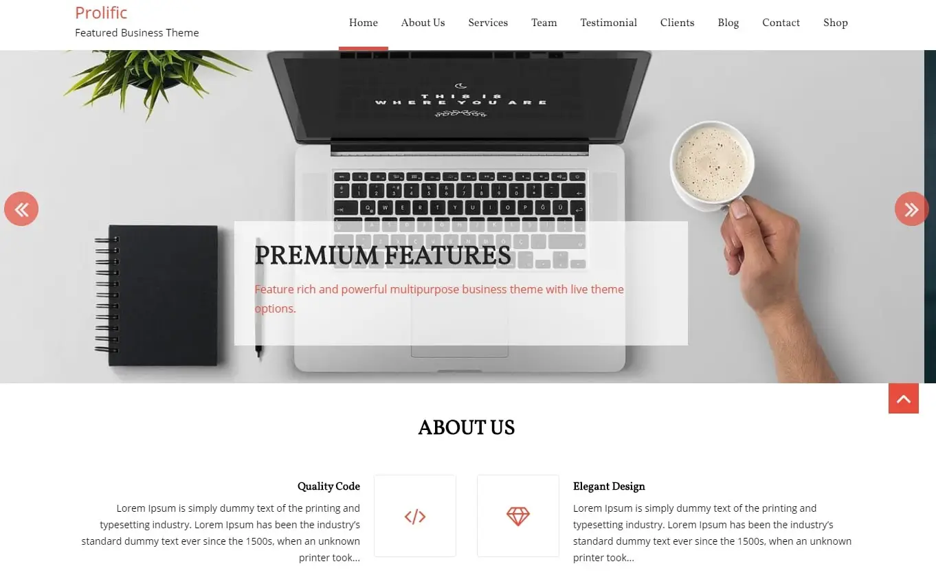 20 多个最佳免费 WordPress 登陆页面主题和模板 2022 prolific free wordpress theme for landing page