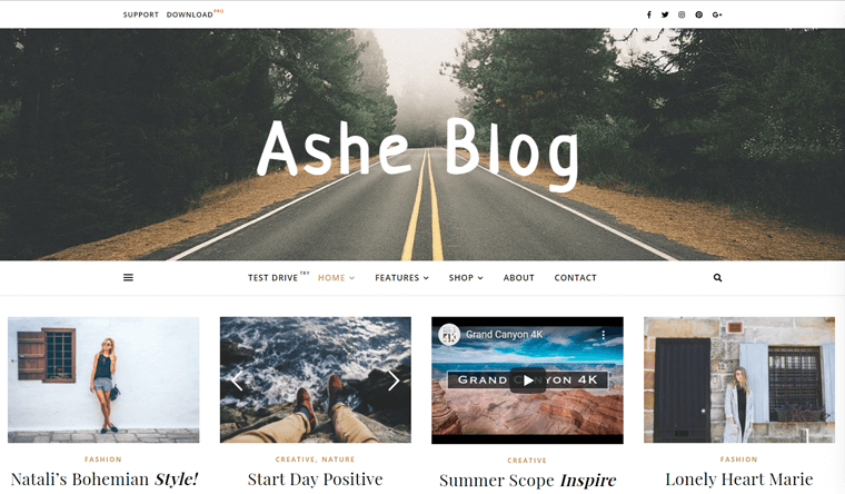 Thème WordPress Ashe pour site Web de blog personnel