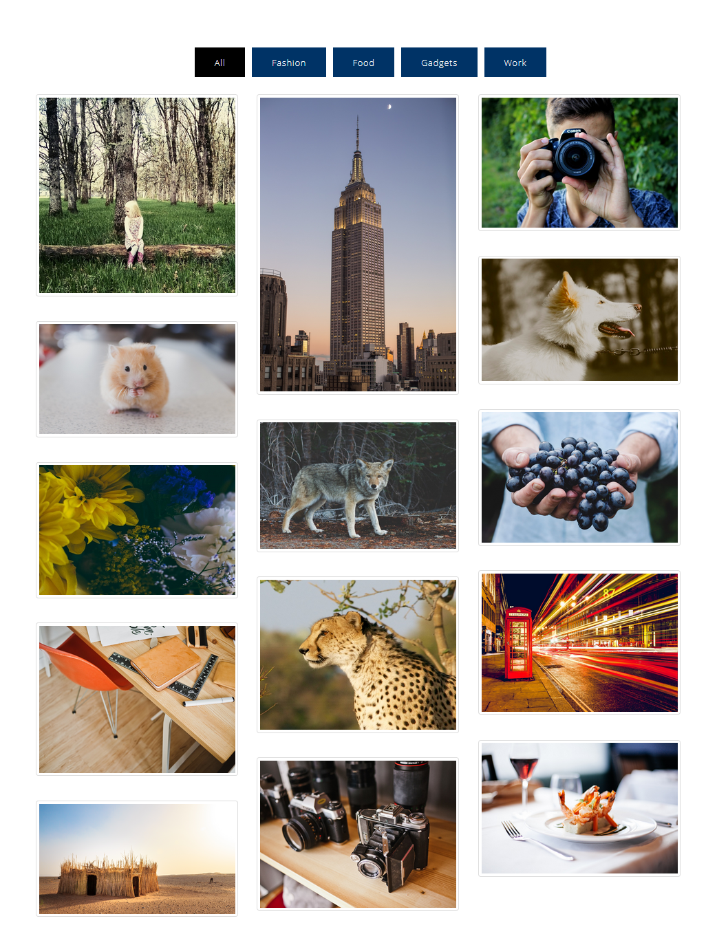 Wtyczki do portfolio WordPress