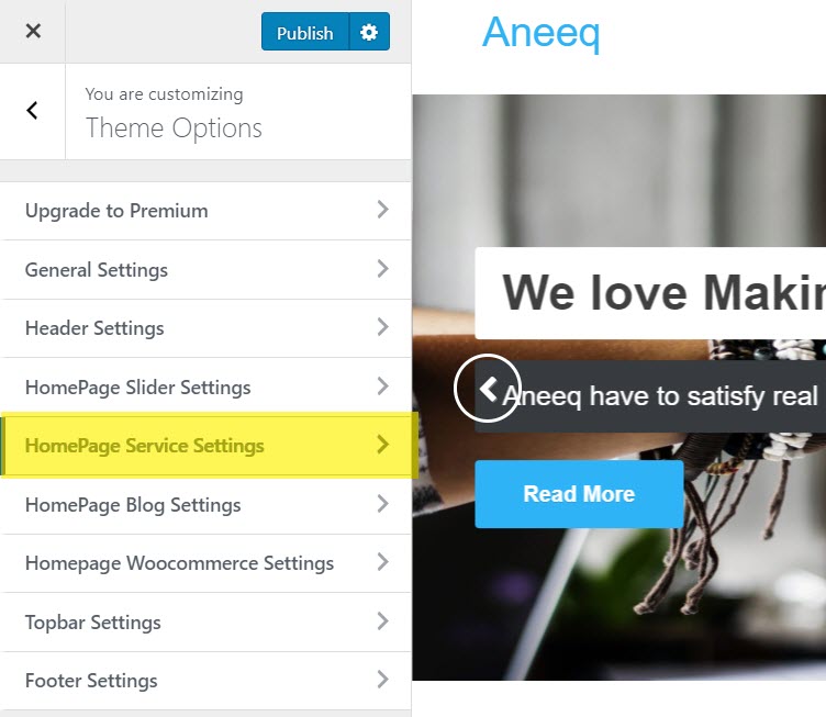 aneeq-wordpress-theme-homepage-impostazioni-servizio