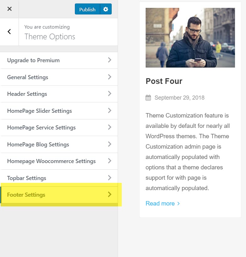 aneeq-wordpress-theme-homepage-impostazioni del footer