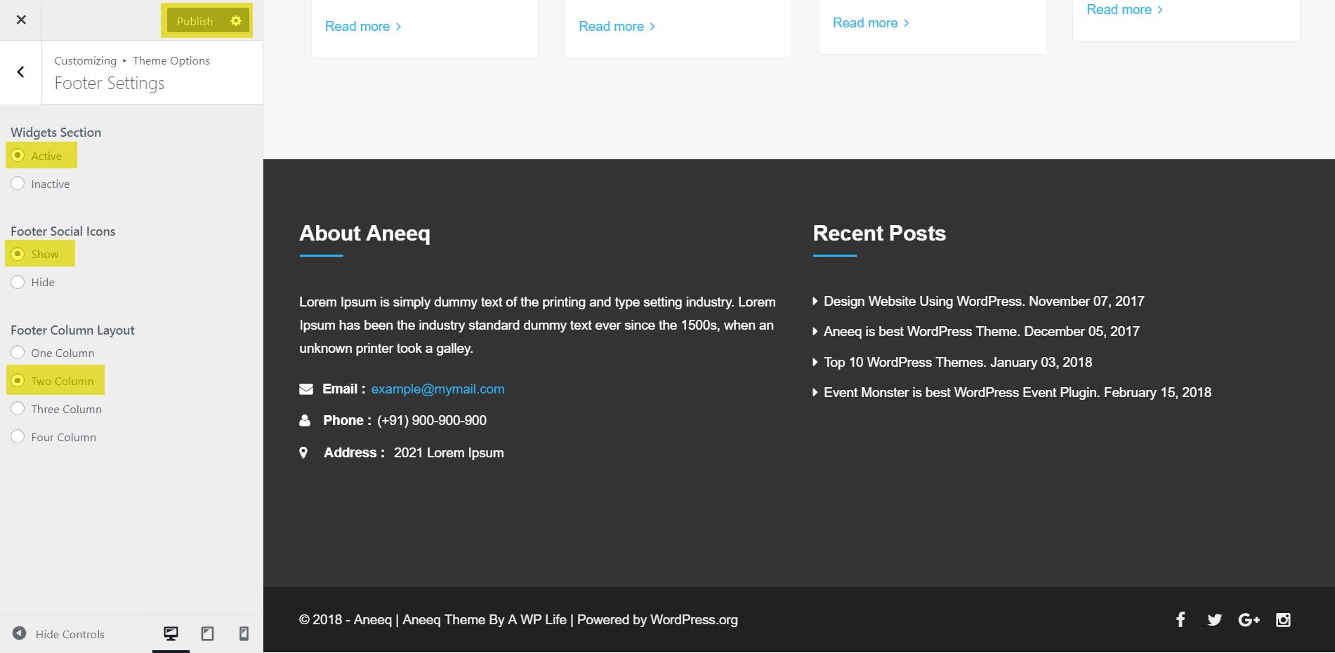aneeq-wordpress-theme-homepage-footer-set-up