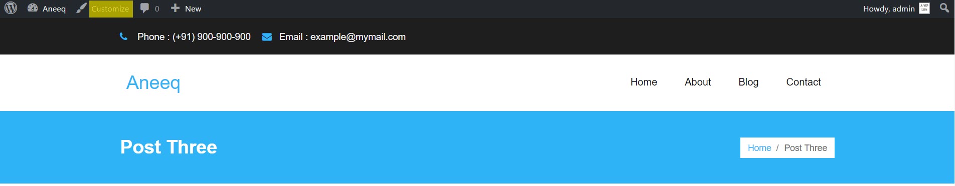 aneeq-wordpress-tema-personalizza