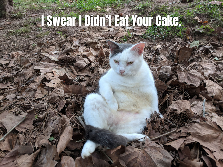 Captura de tela do plugin Meme Me WordPress em ação.