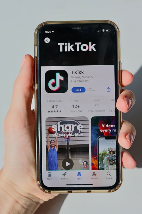 TikTok 팔로워를 키우는 방법
