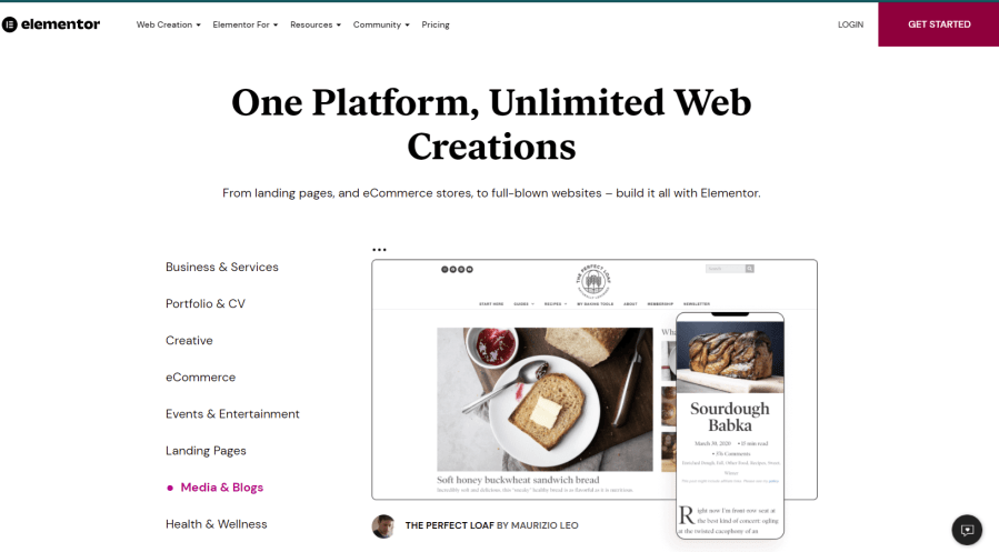 Elementor Pro