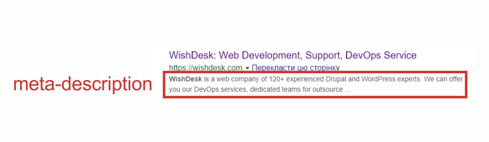 Analizar la meta descripción en el sitio web