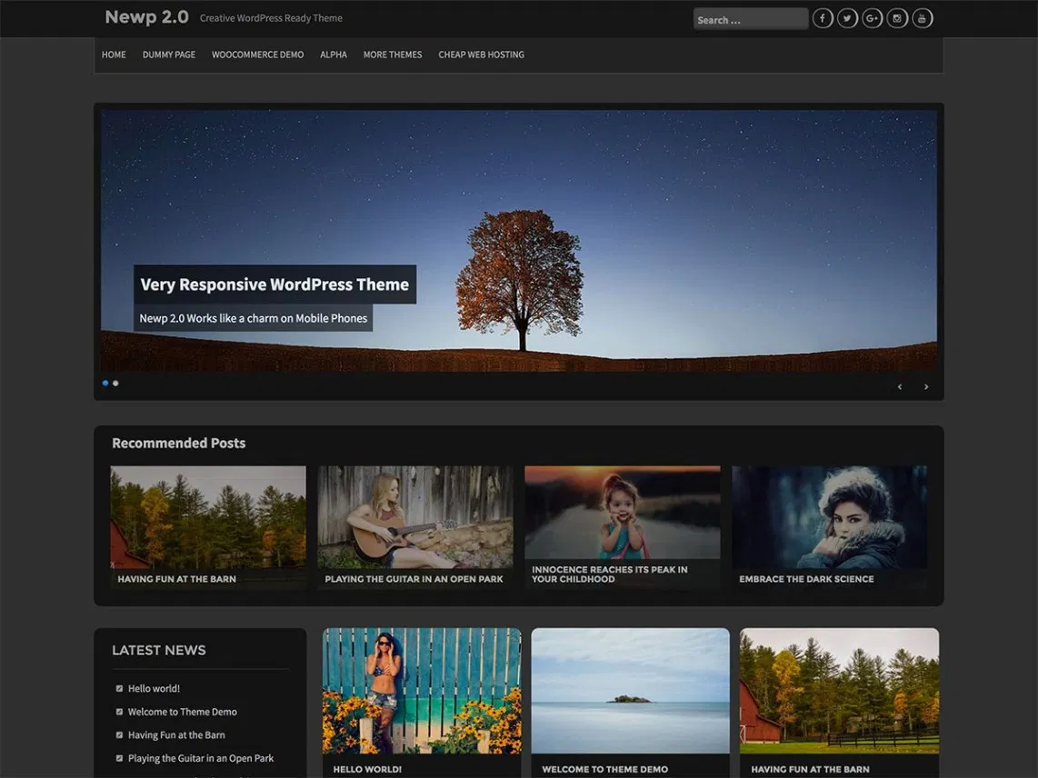 Newp ธีม WordPress เข้ม