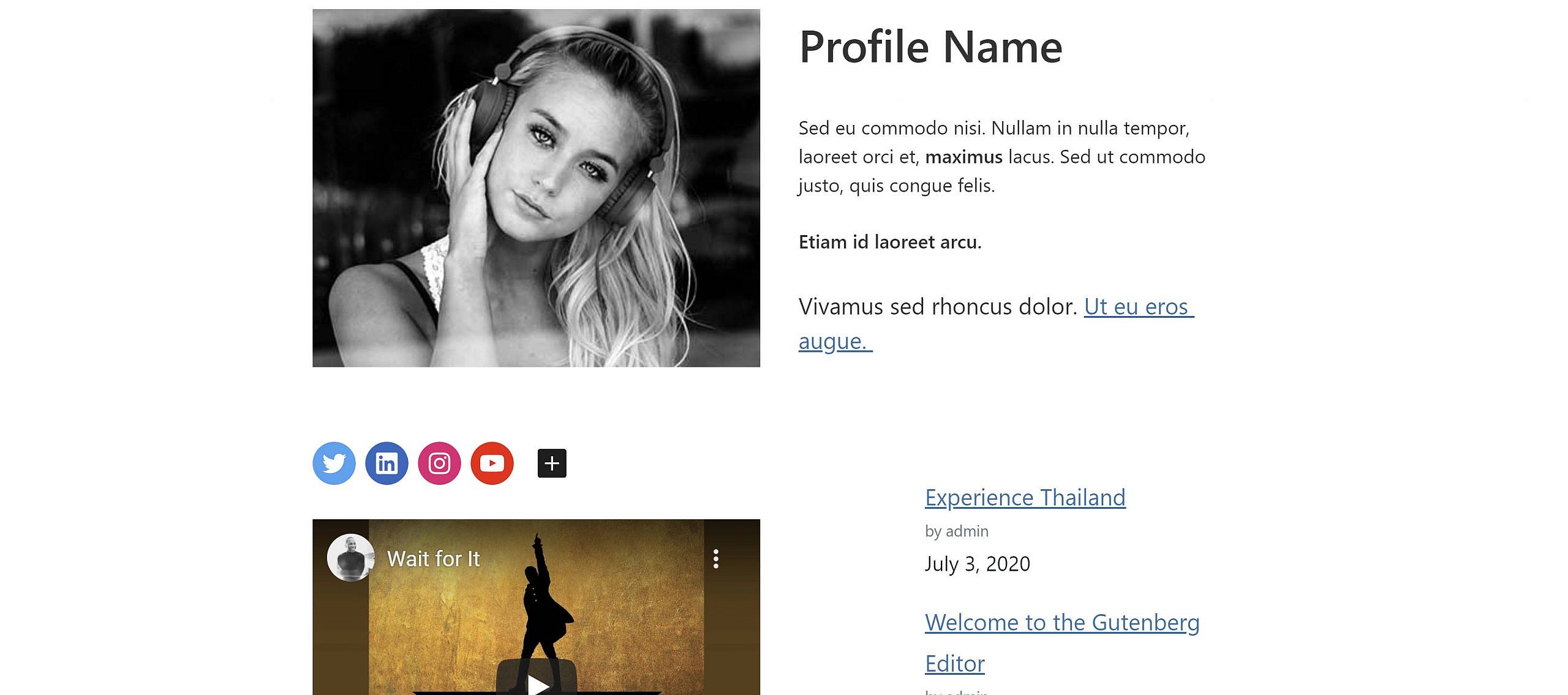 Шаблон блока профиля DJ, включенный в тему Deejay.