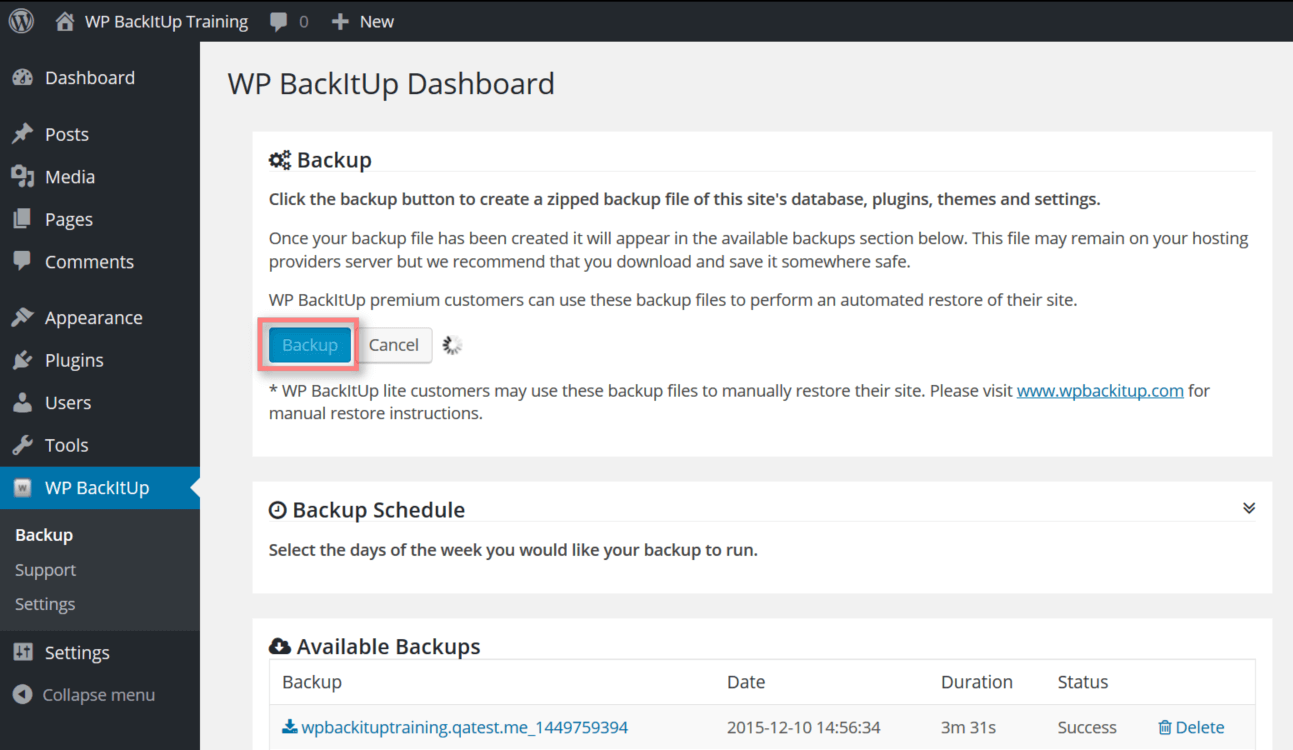 Il dashboard di WP BackItUp.
