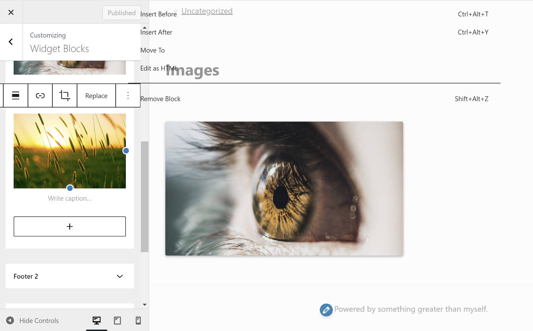 Section des blocs de widget dans le personnalisateur WordPress.