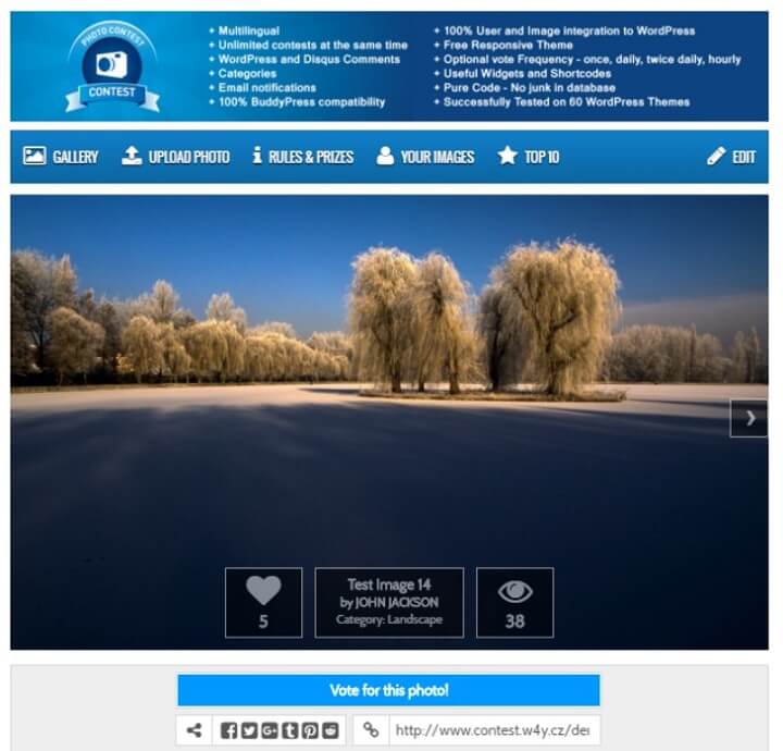 사진 콘테스트 WordPress 플러그인 예제